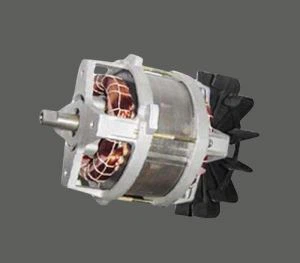 Trimmer AC motor
