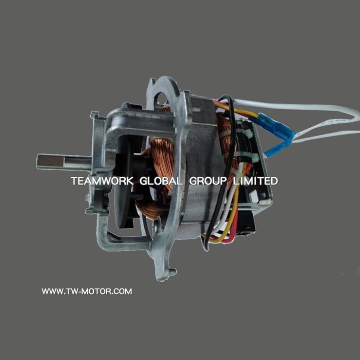 Single-phase Series Motor