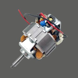 Gyümölcscentrifuga motor