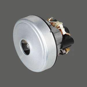 AC sweeper motor