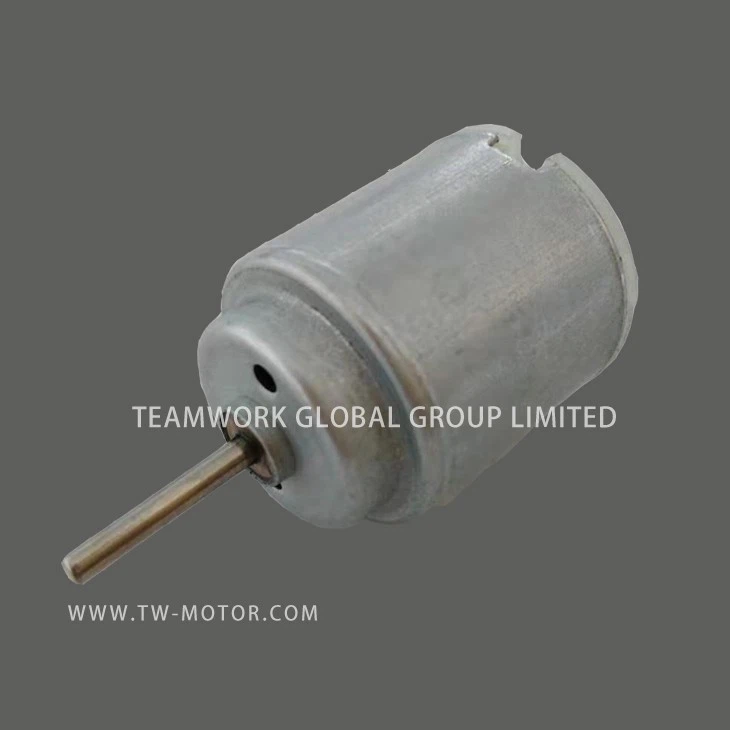Toys Use DC Motors