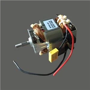 Gyümölcs és Zöldség Keverő Motor