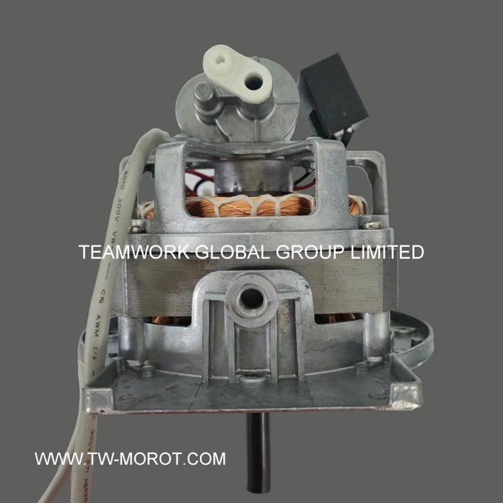 Household Ceiling Fan Motor