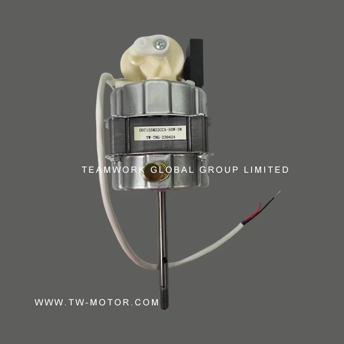 Household Fan Motor