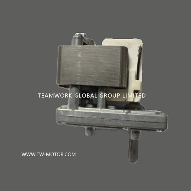 Motor For Electric Oven