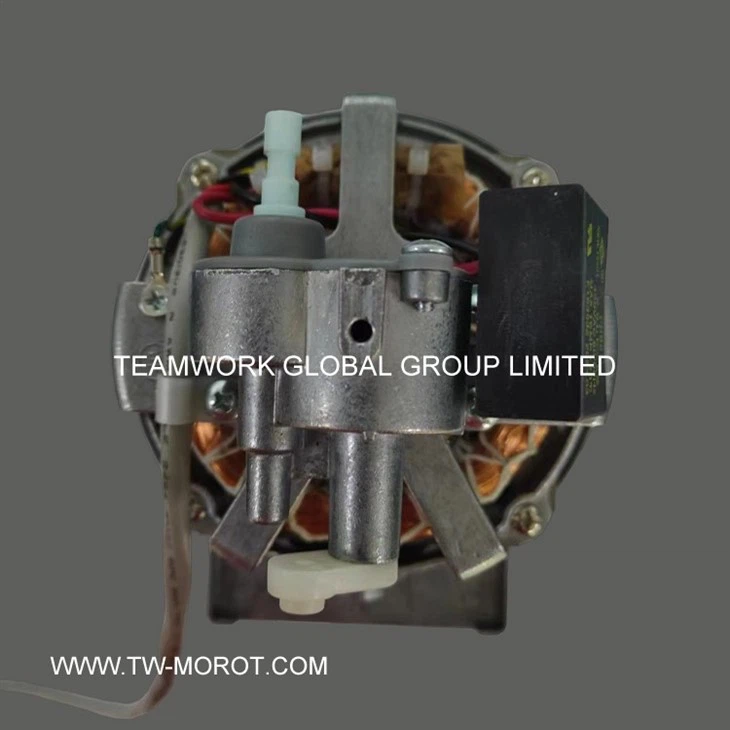 Powerful Floor Fan Motor