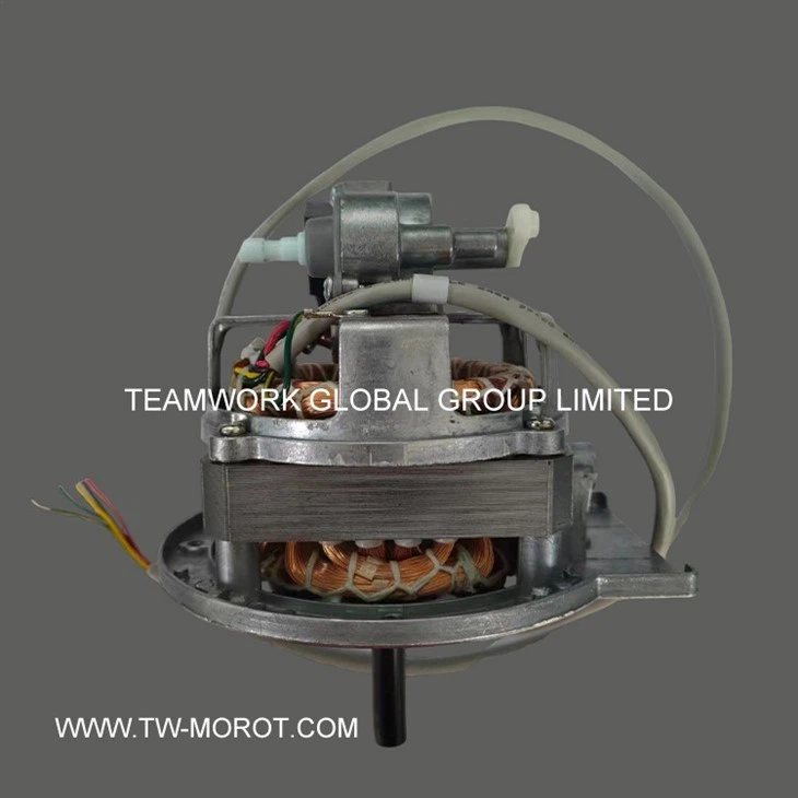 Powerful Floor Fan Motor