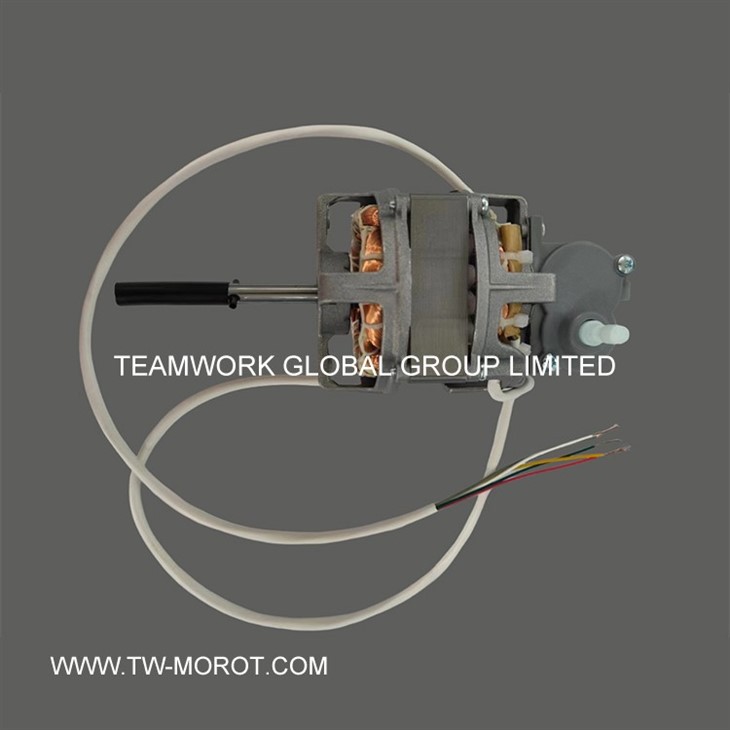 Special Fan Motor