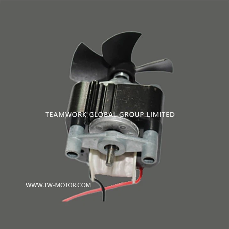 Window Exhaust Fan Motor