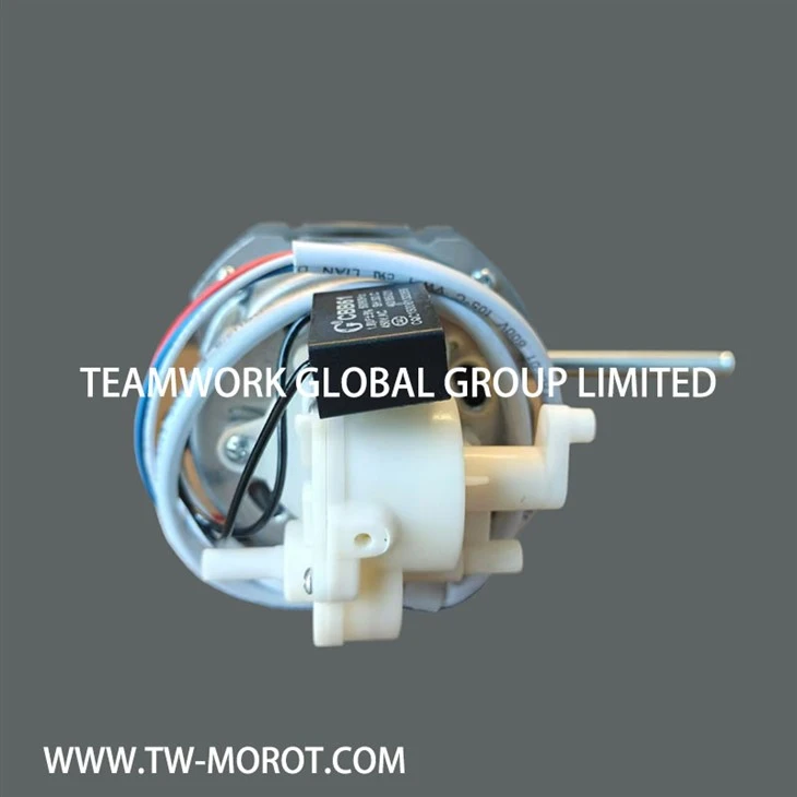 AC Fan Motor