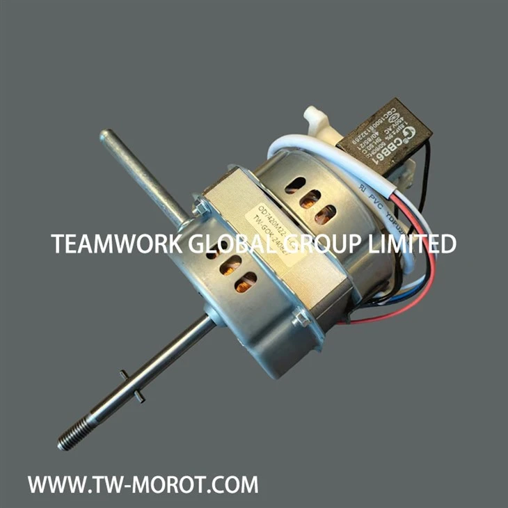 AC Fan Motor